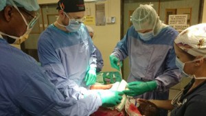 skinculture4-300x169