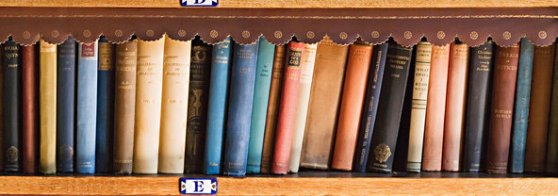 well_books-tmagarticle