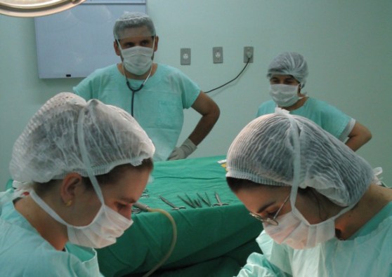 File image: Independent Media