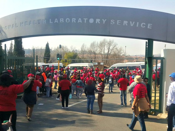 twitterimagenhlsstrike